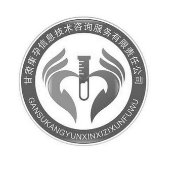 深耕信息技术咨询，助力企业数字化转型——甘肃康孕信息技术咨询服务有限责任公司的发展之道